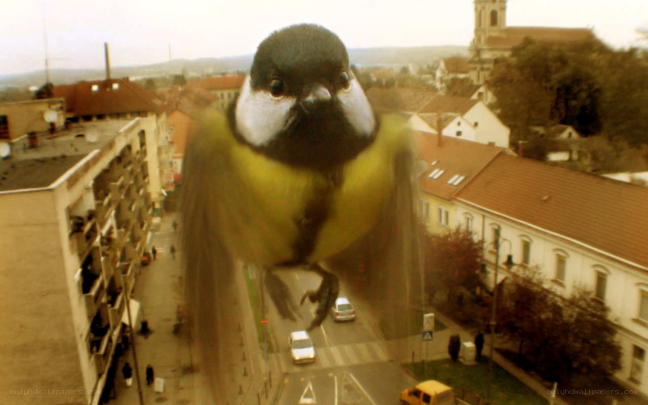 giant bird in city scene