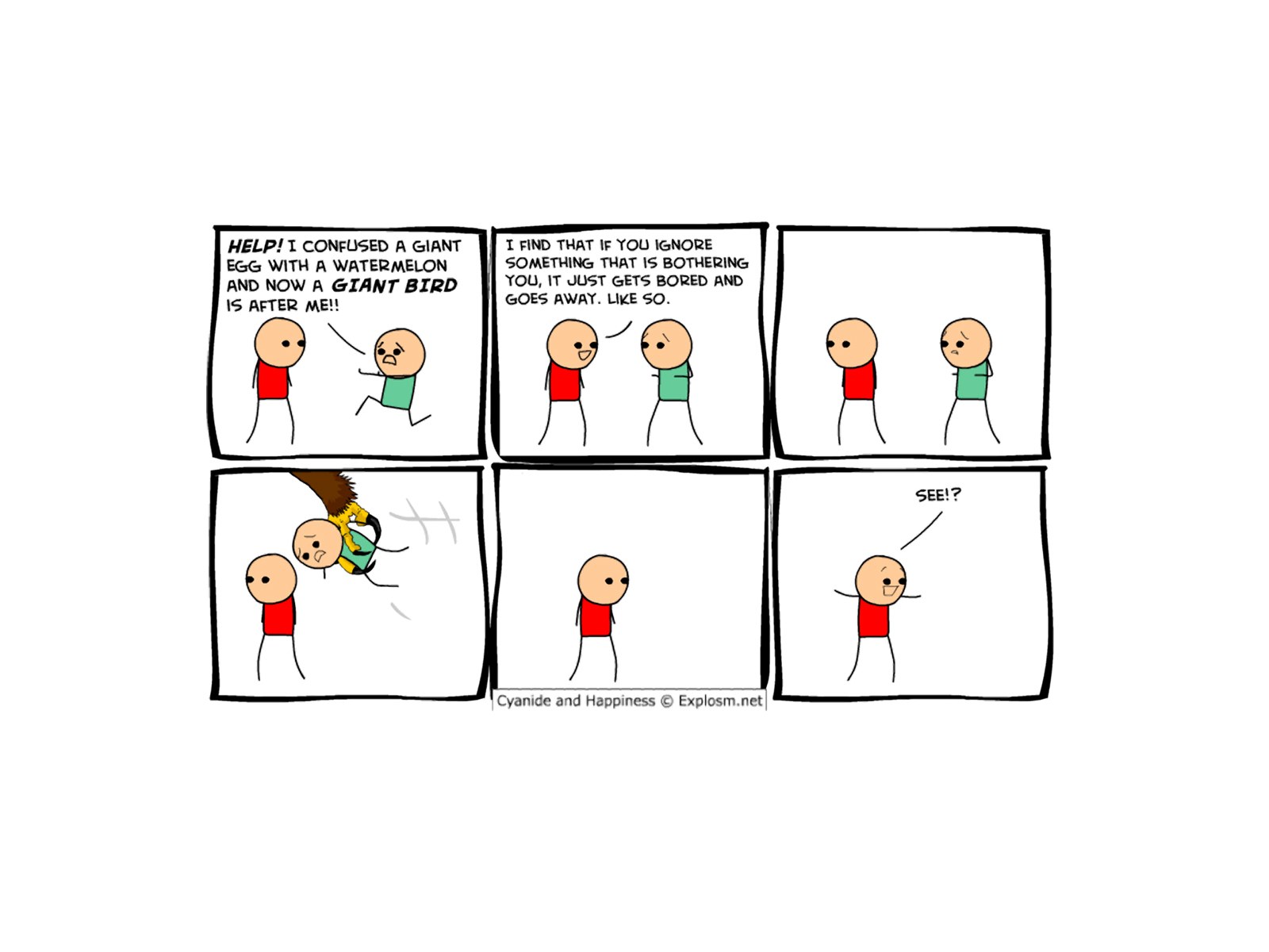Giant Bird Problem