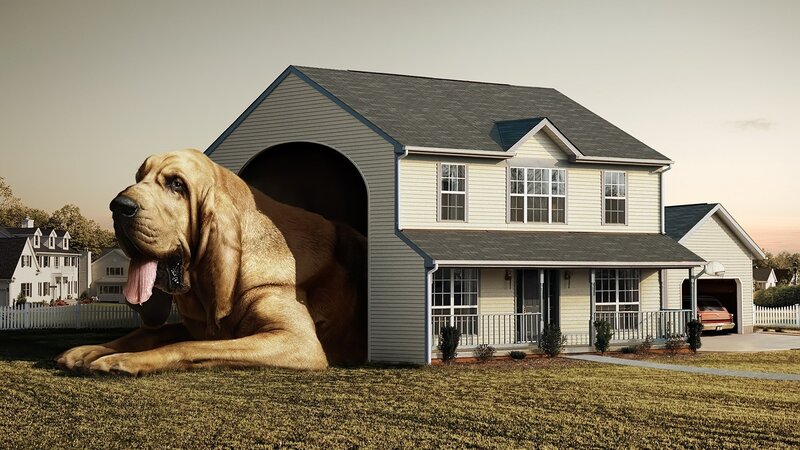 Giant Bloodhound Dog — Beige, Surreal, Sunset, Digital Art, House