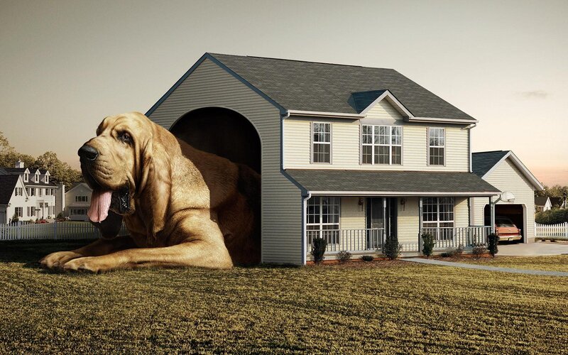 Giant Bloodhound Dog — Beige