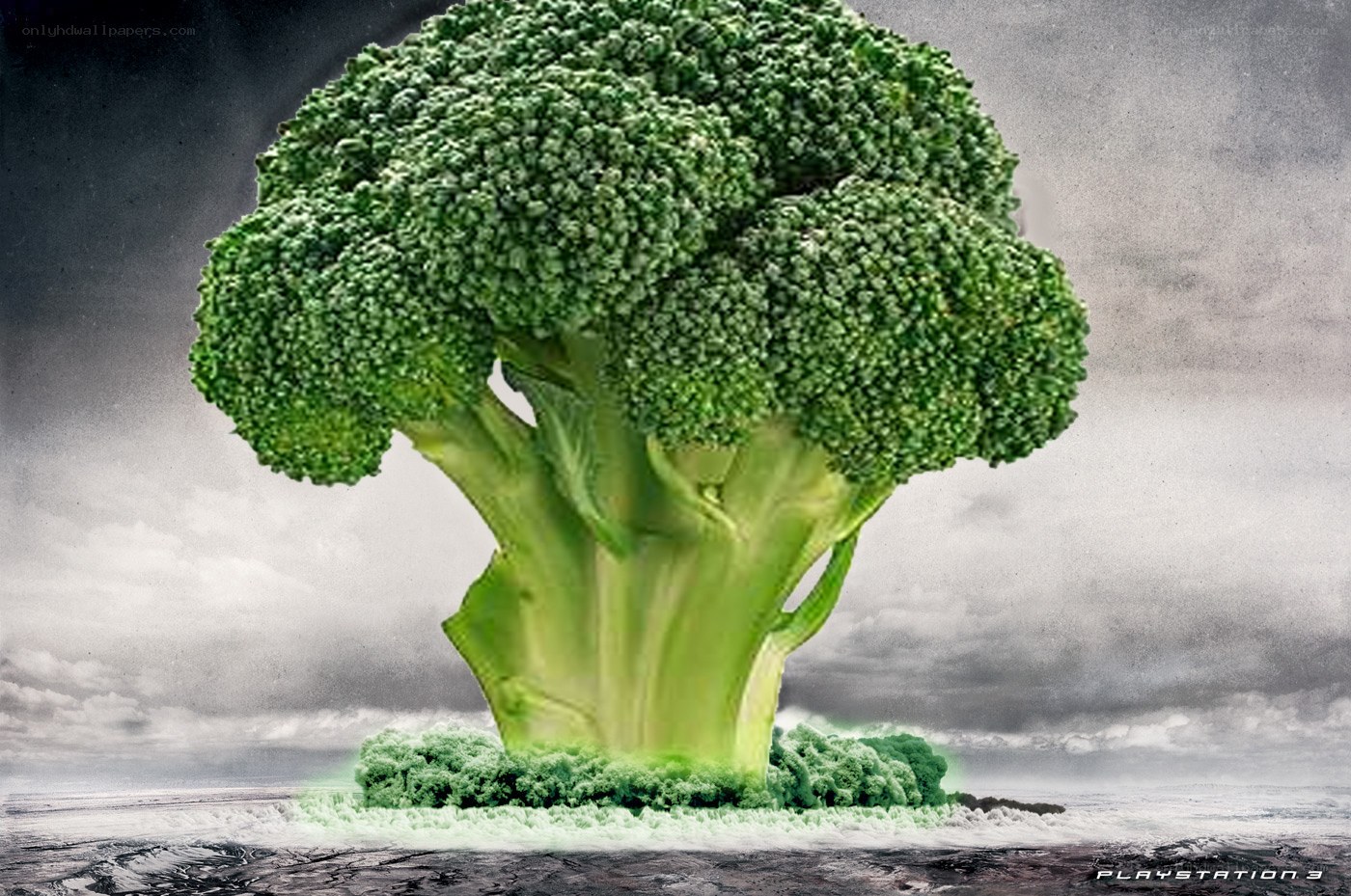 giant broccoli on island