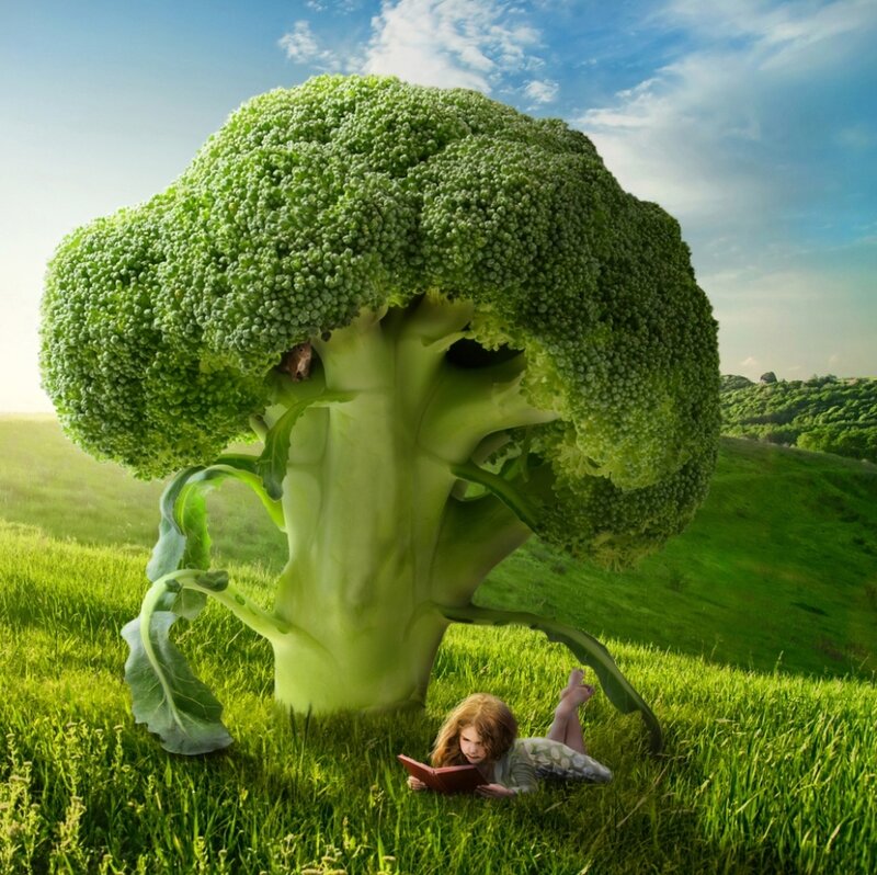 Giant Broccoli Tree
