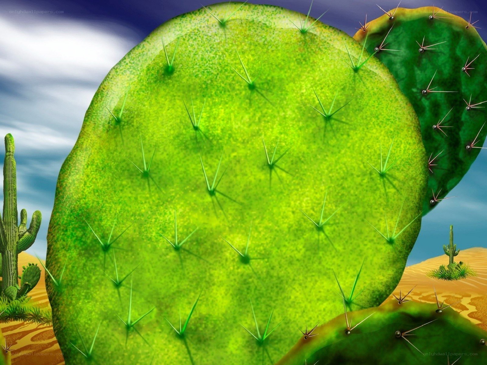 giant cactus in desert
