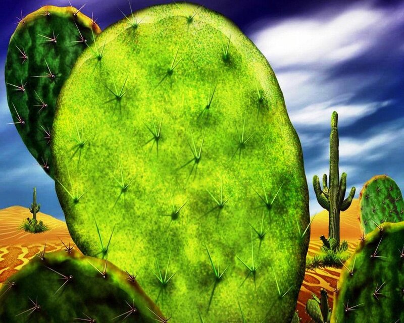Giant Cactus Pads — Green