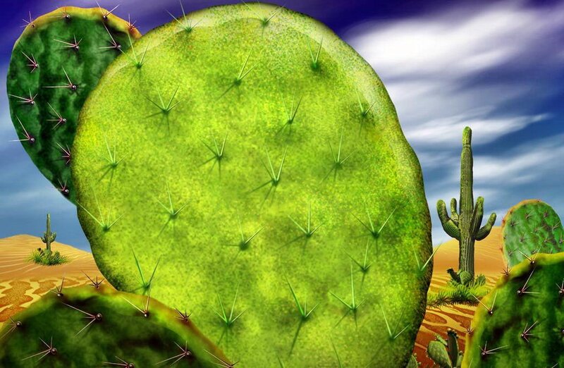 Giant Cactus Pads