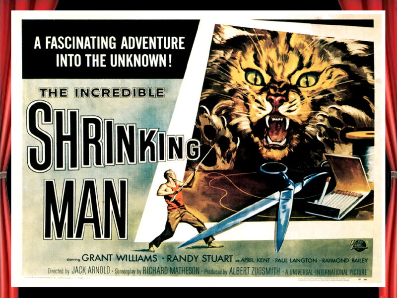 Giant Cat Attacking Man