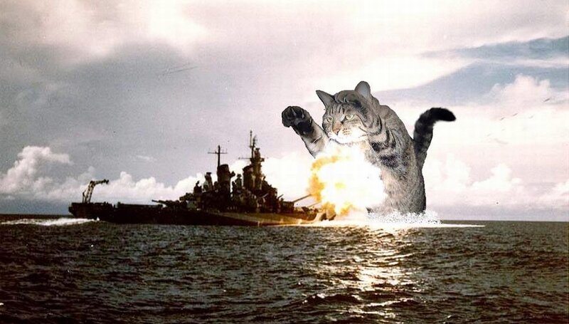giant cat attacks battleship
