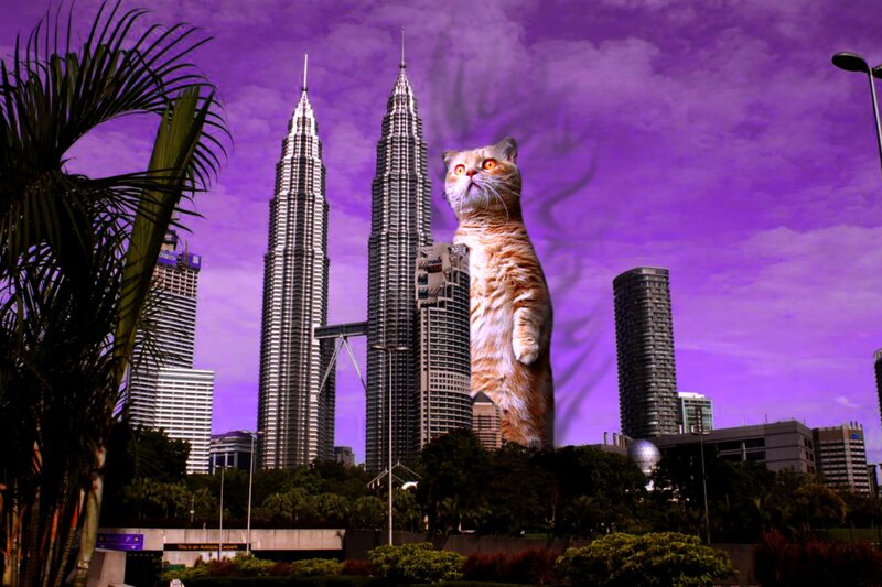 Giant Cat in City