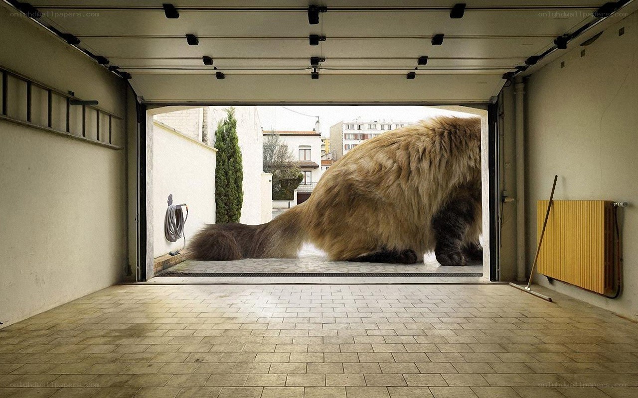 giant cat in garage