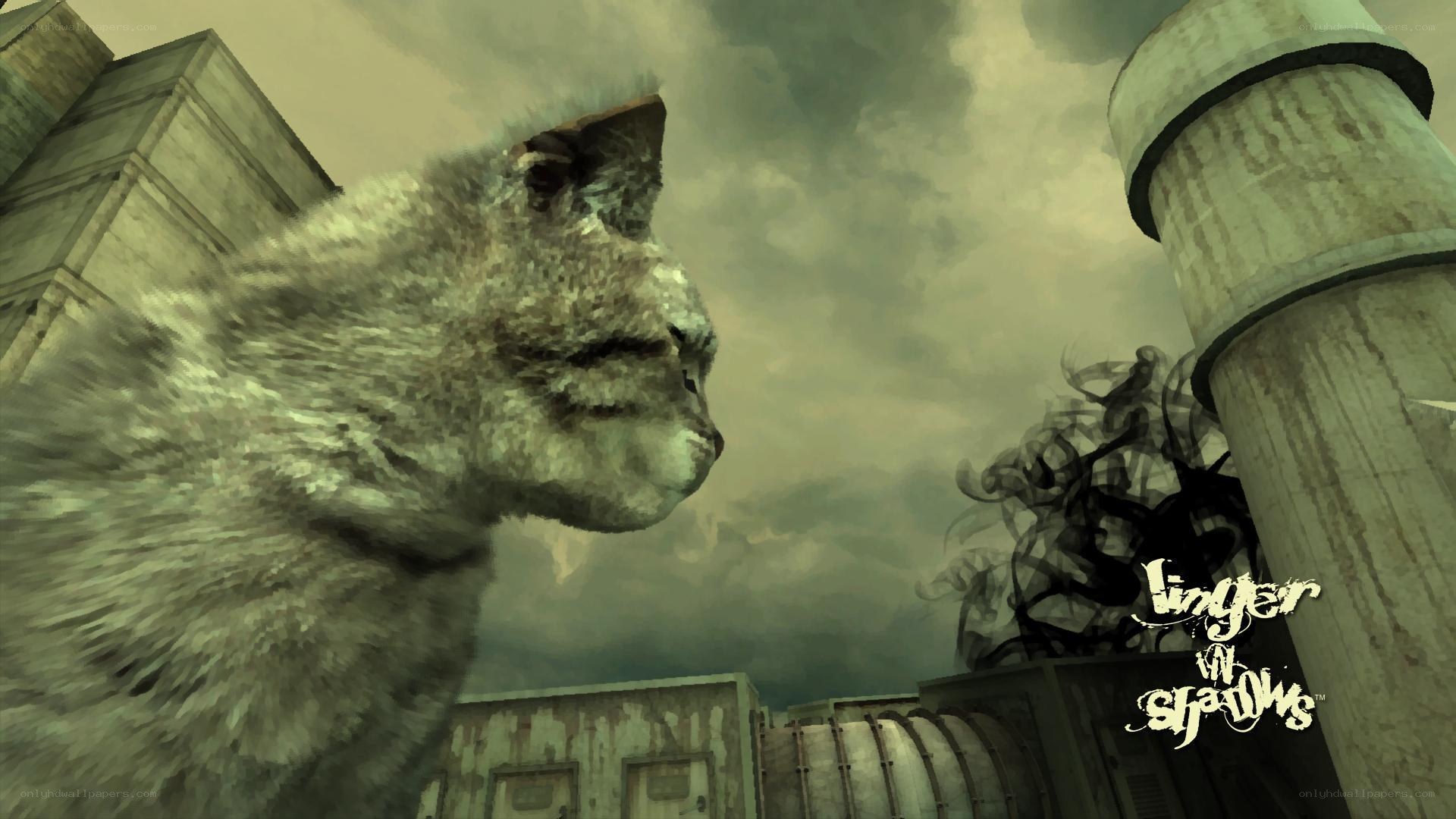 giant cat in industrial setting