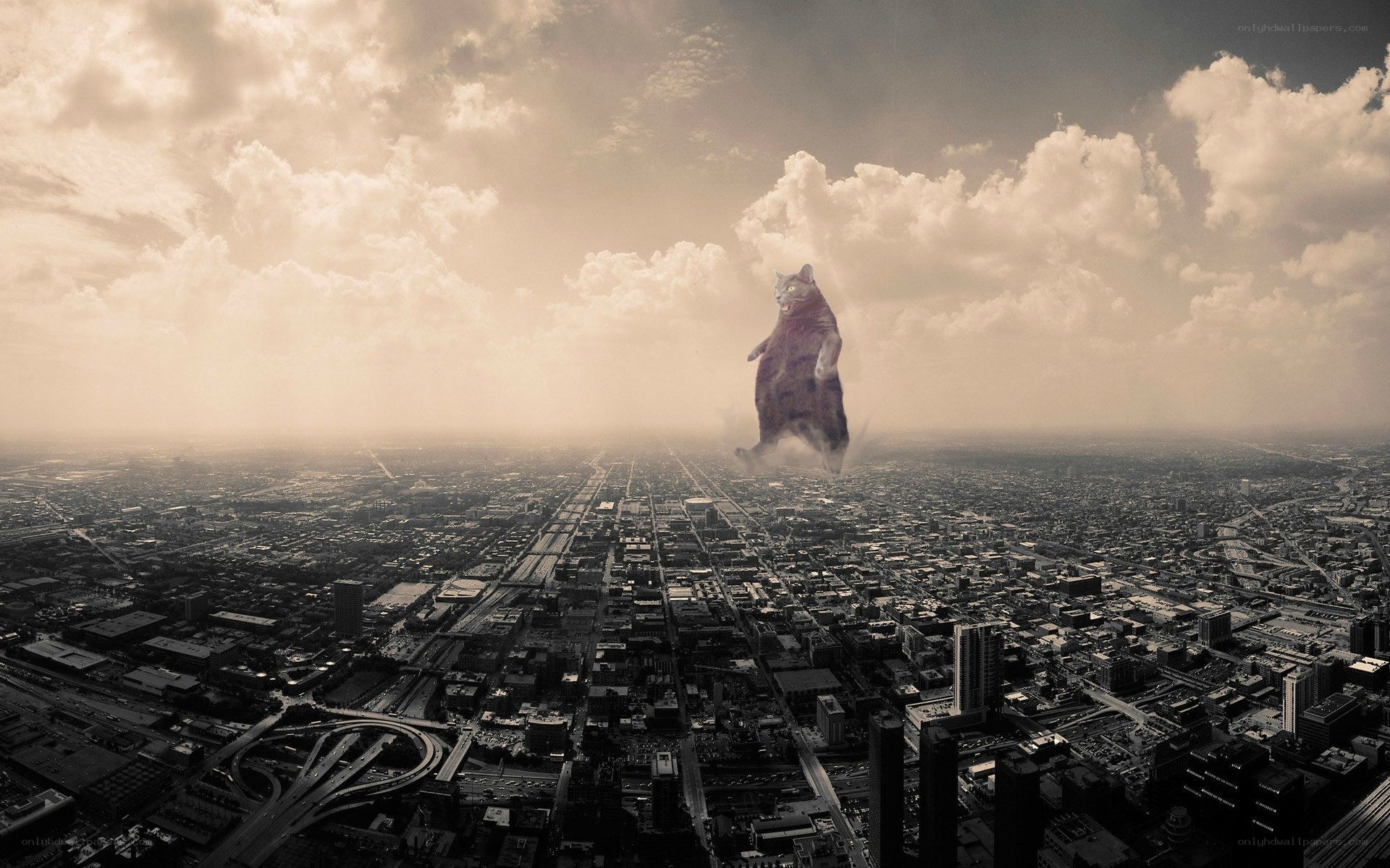 giant cat over city