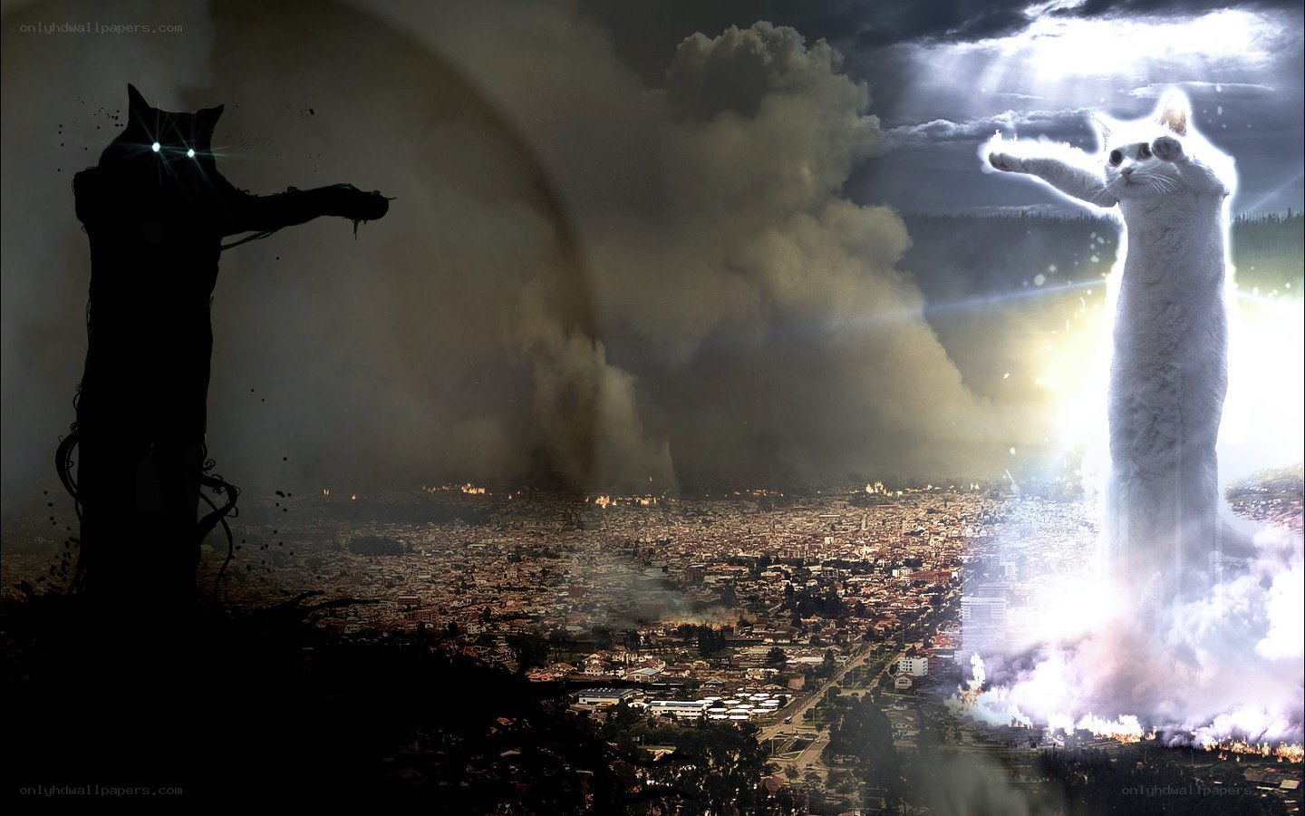 giant cats over a city