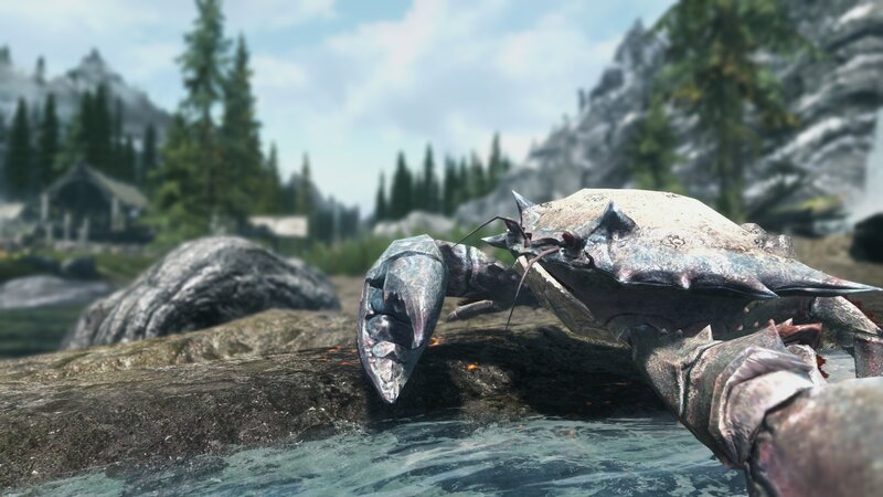 Giant Crab on Rock