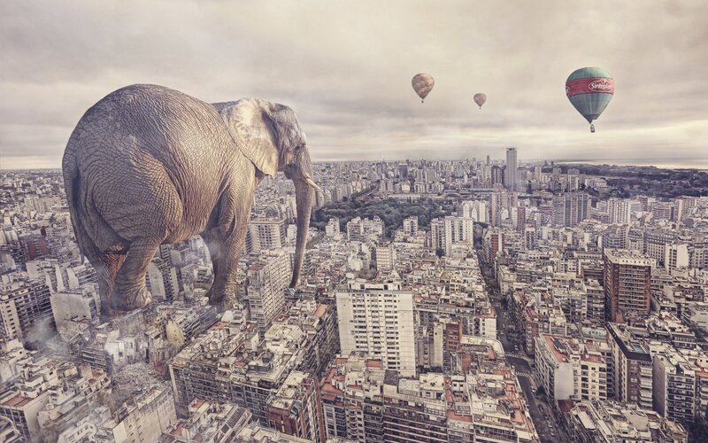 Giant Elephant in City