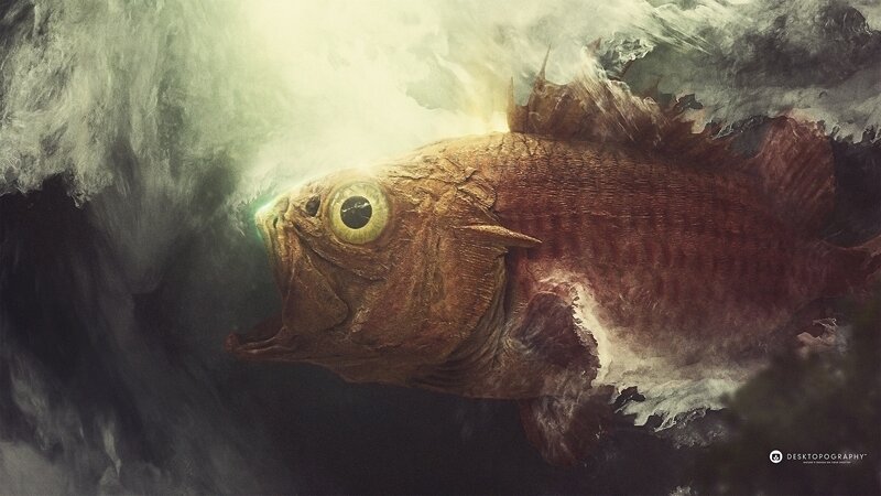 Giant Fish in Water