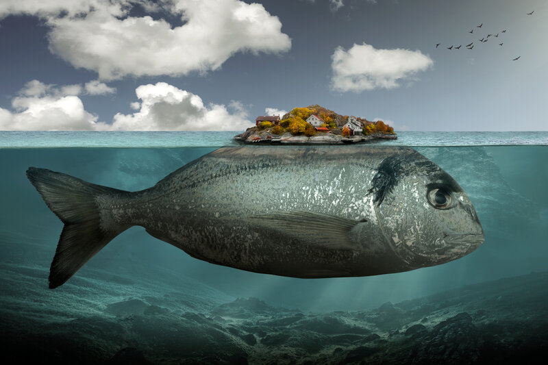 Giant Fish Island