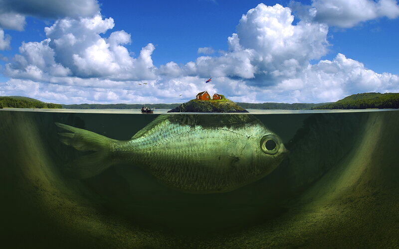 Giant Fish Underwater