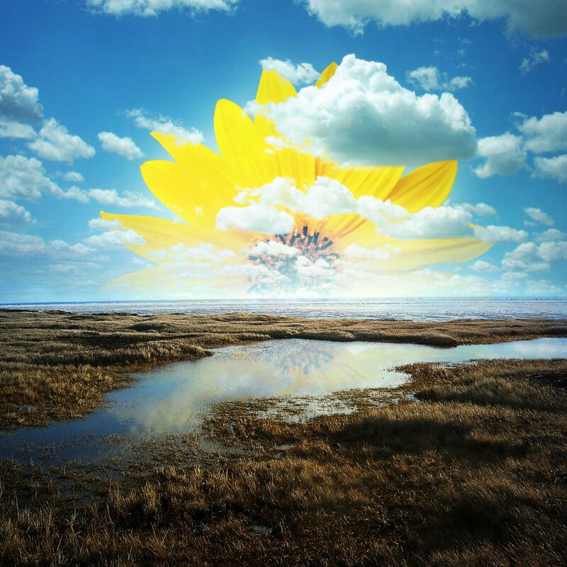 giant flower in the sky