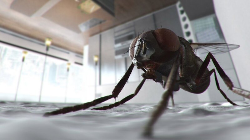 giant fly on a surface