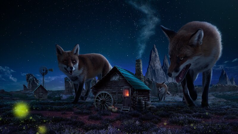 Giant Foxes at Night