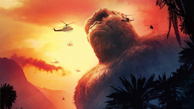 Giant Gorilla in Jungle — Orange