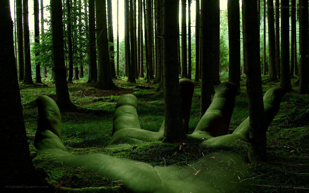 giant hand in forest