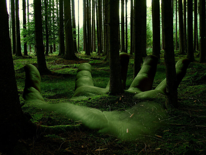 giant hand in forest