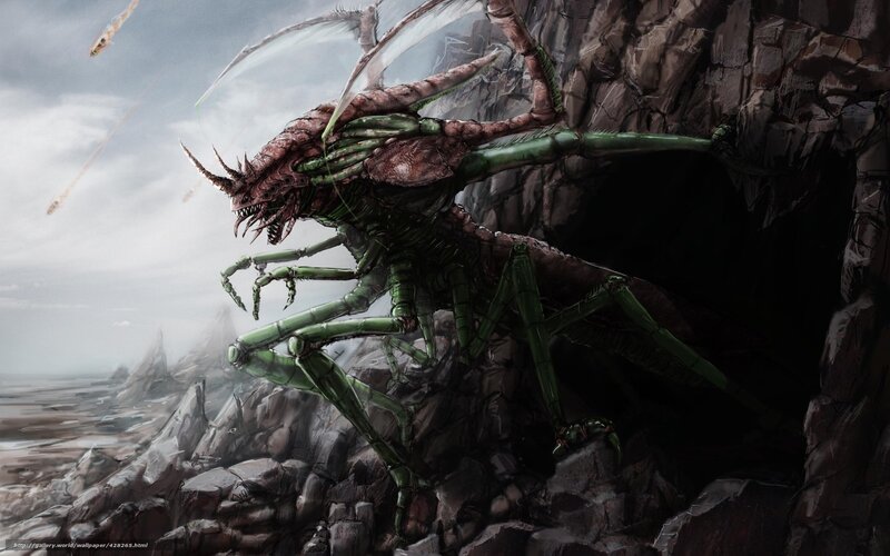 giant insect creature on cliff