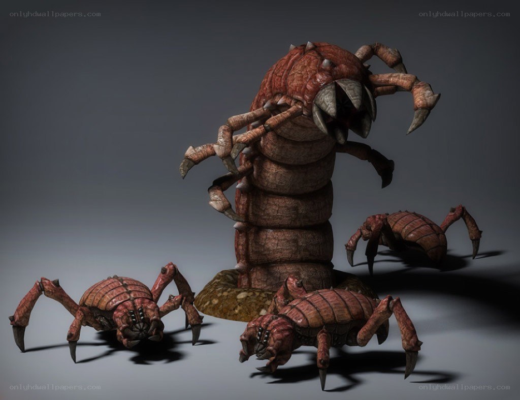 Giant insect creatures