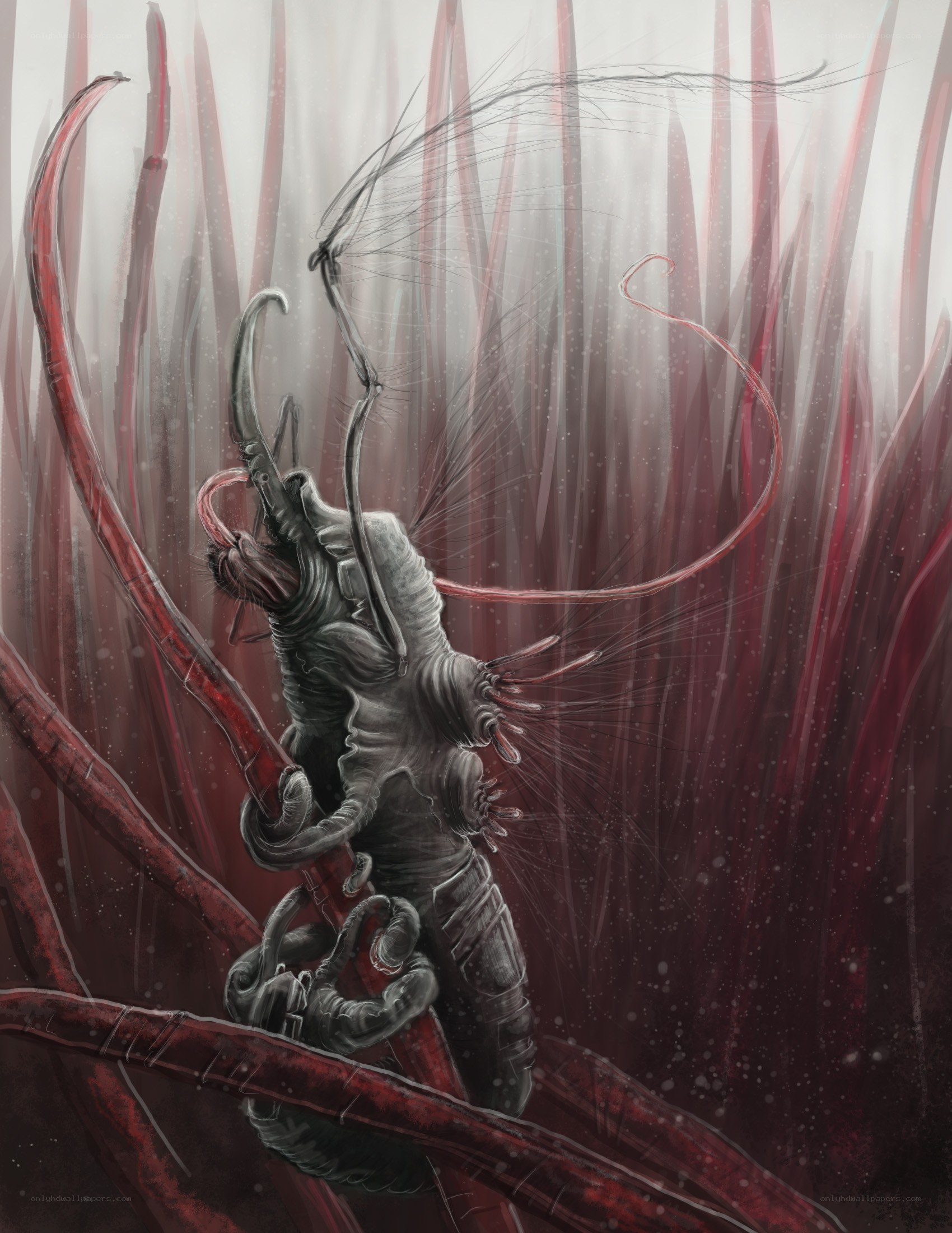 giant insect in red forest