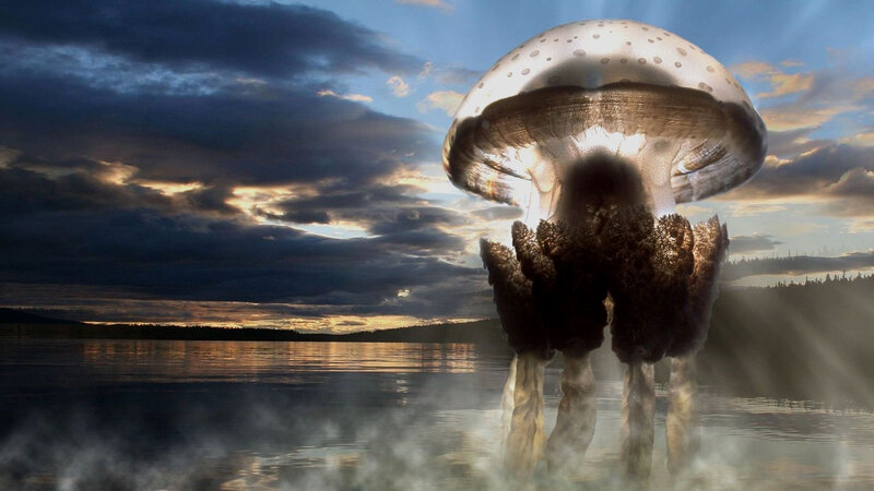 Giant Jellyfish in Water