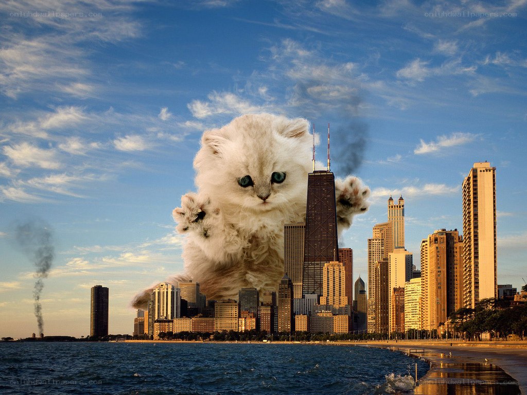 giant kitten over city