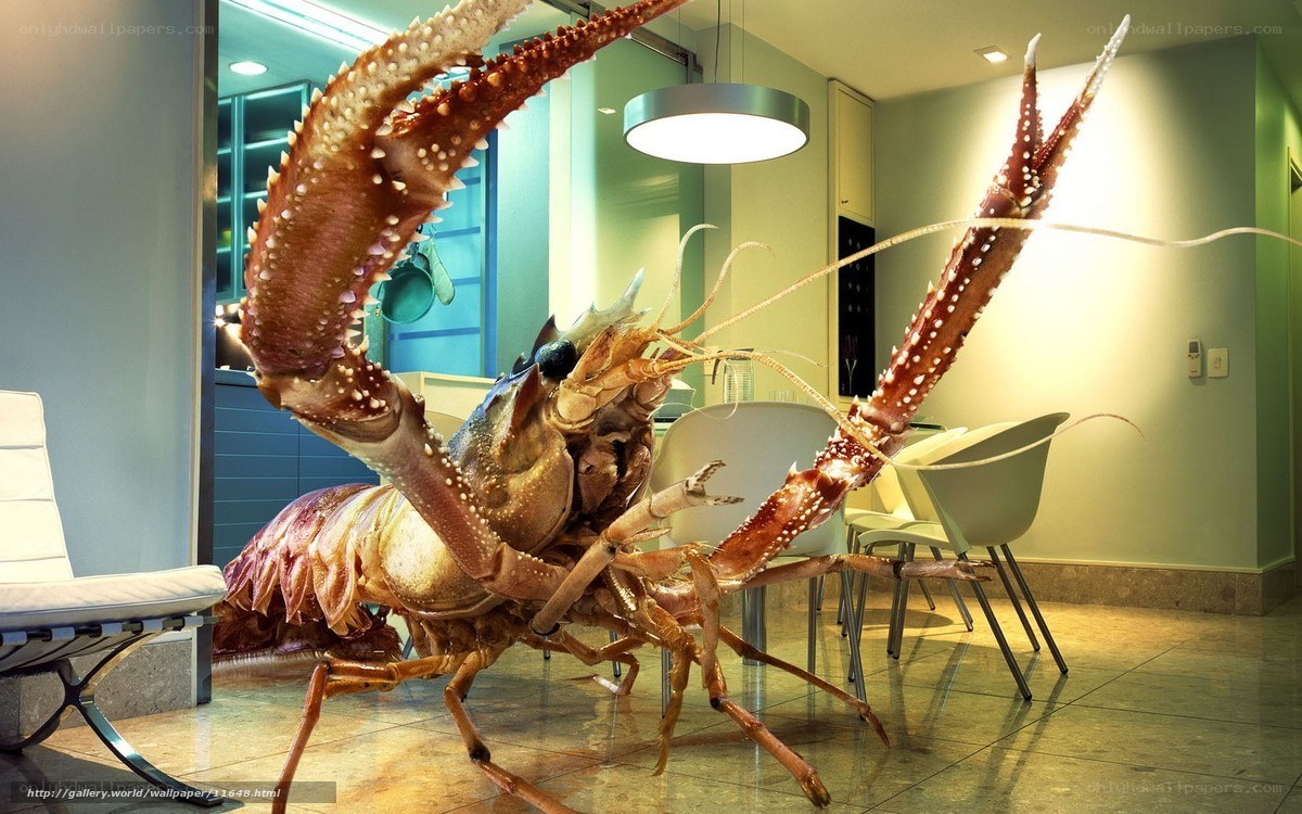 Giant lobster in modern kitchen
