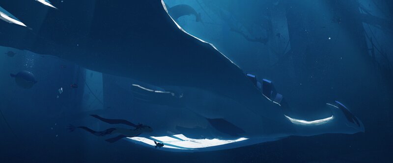 Giant Manta Ray Underwater