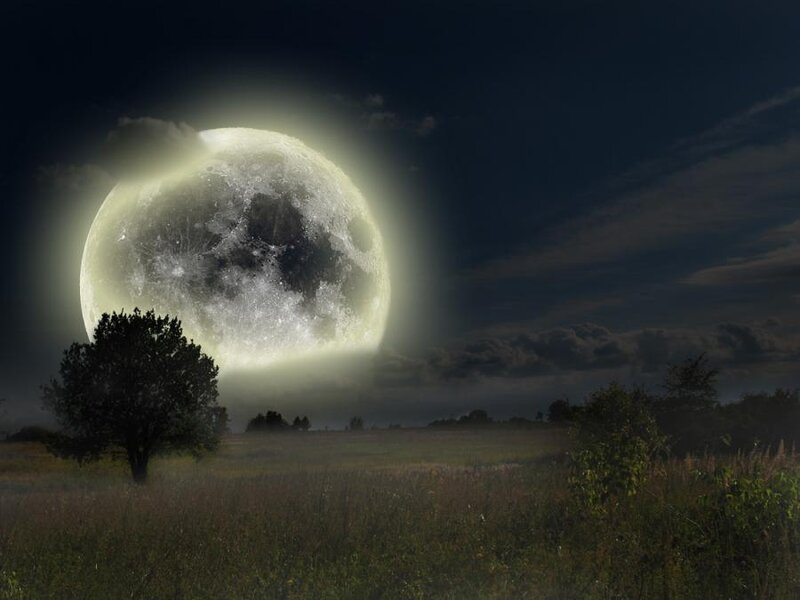 Giant Moon over Field