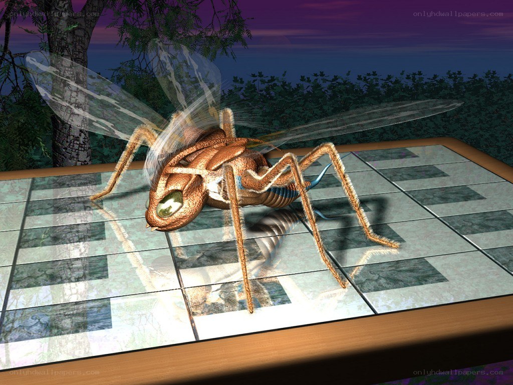 giant mosquito on table