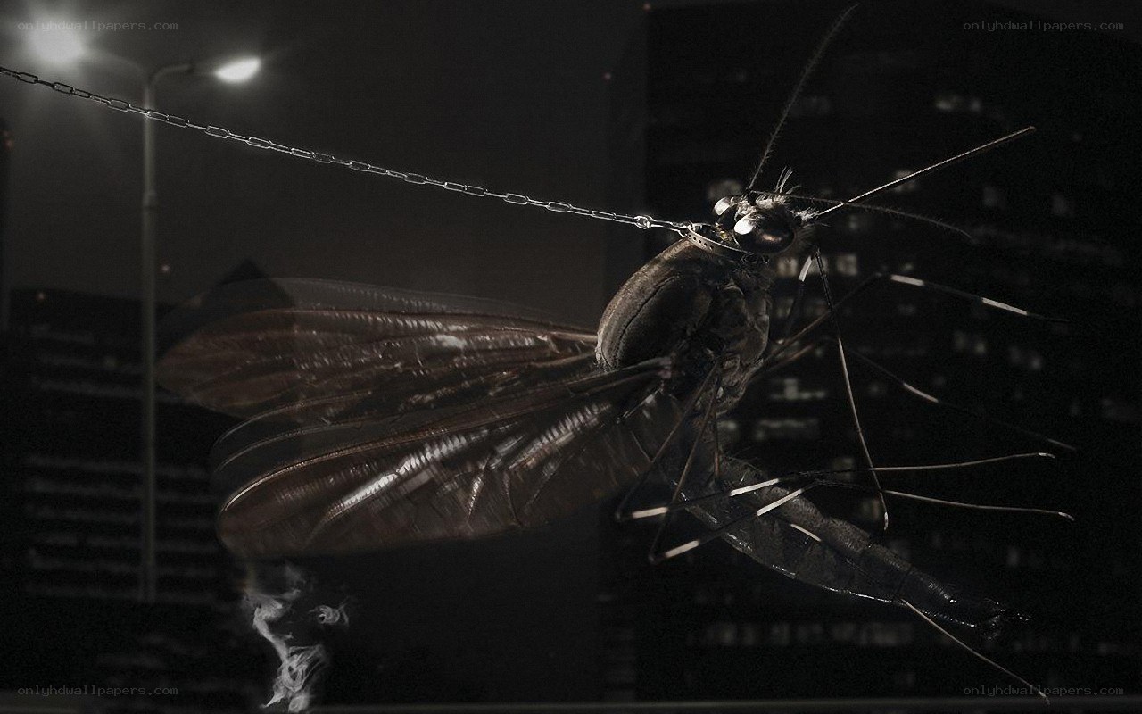 giant mosquito with chain