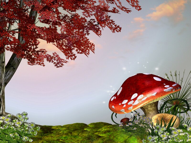 Giant Mushroom in Forest — Red