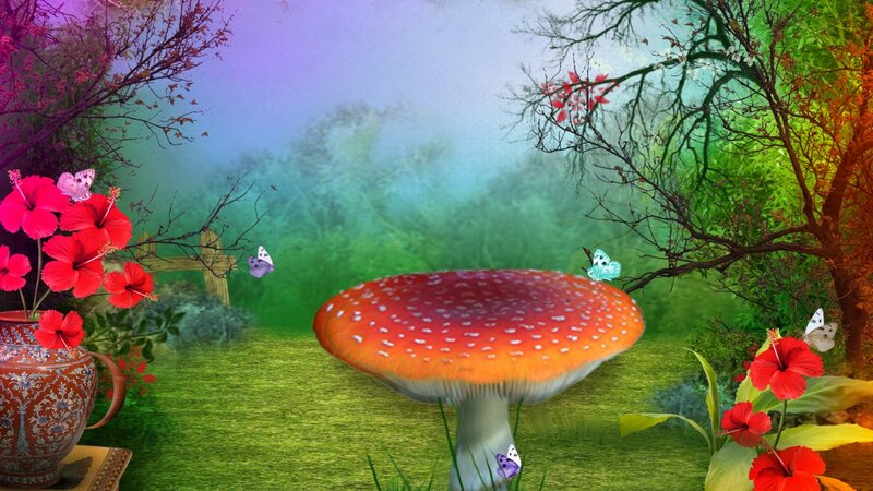 Giant Mushroom in Garden
