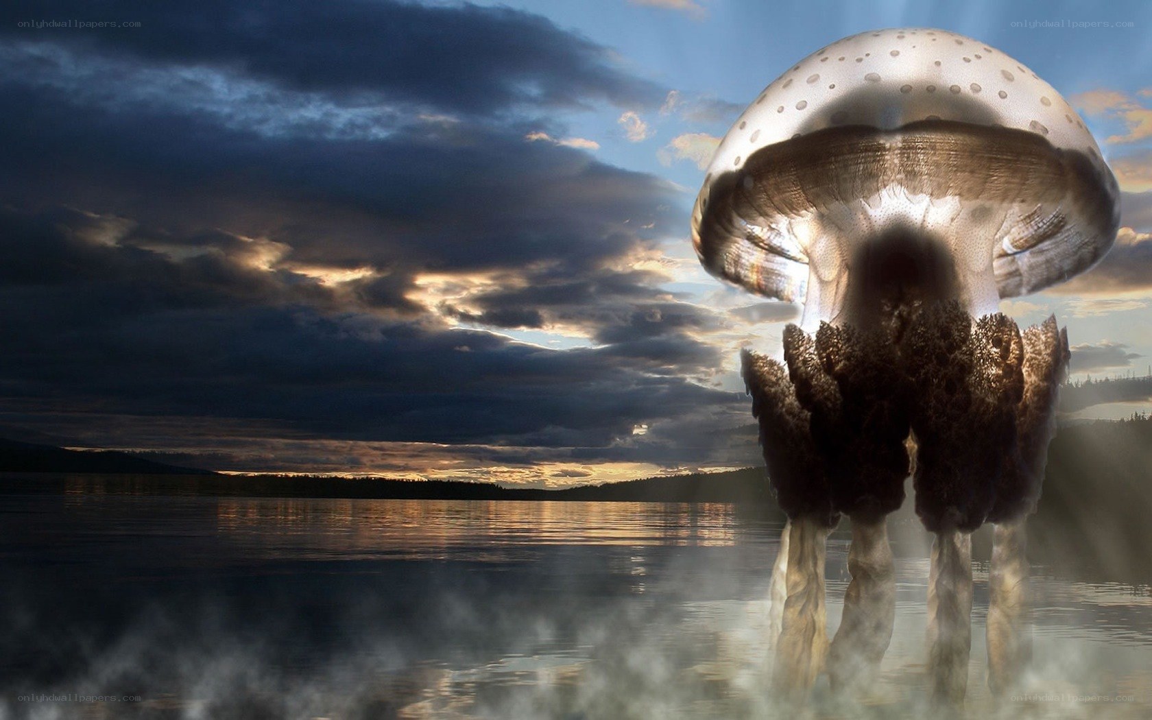 giant mushroom jellyfish