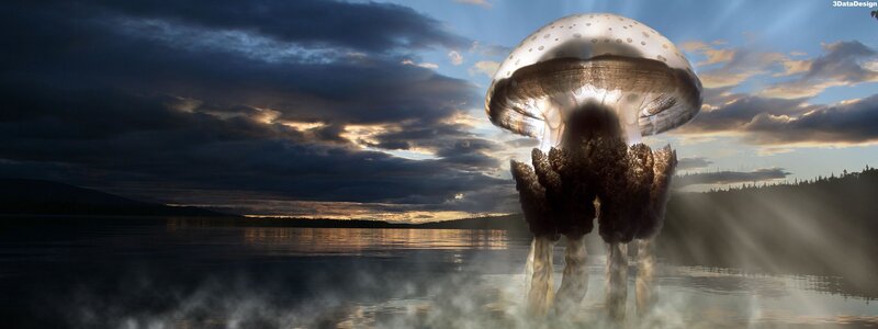 Giant mushroom jellyfish in lake