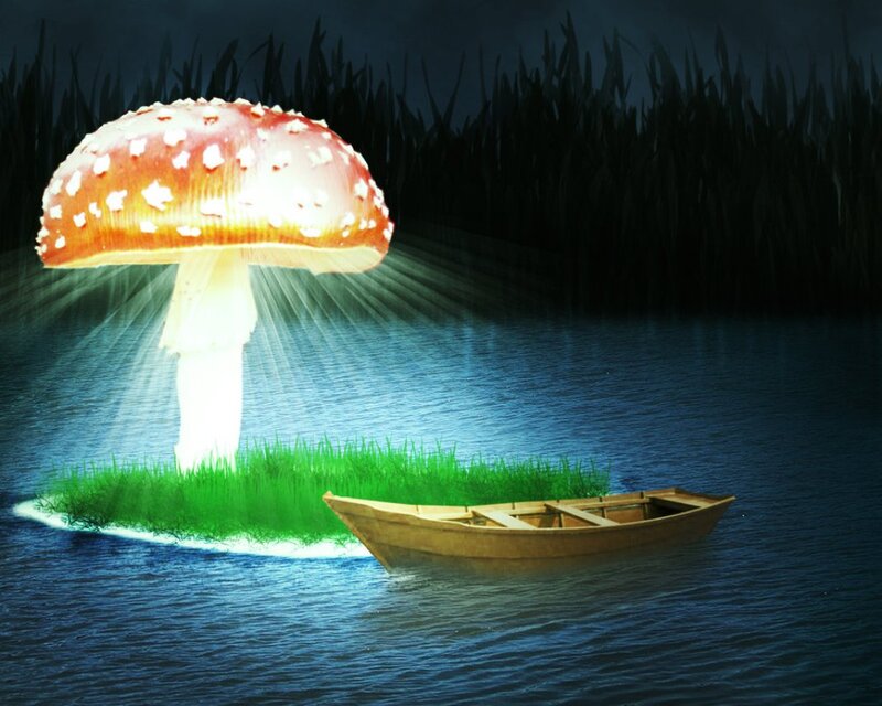 Giant Mushroom on Island