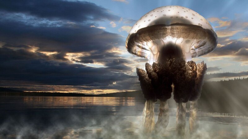 giant mushroom over lake