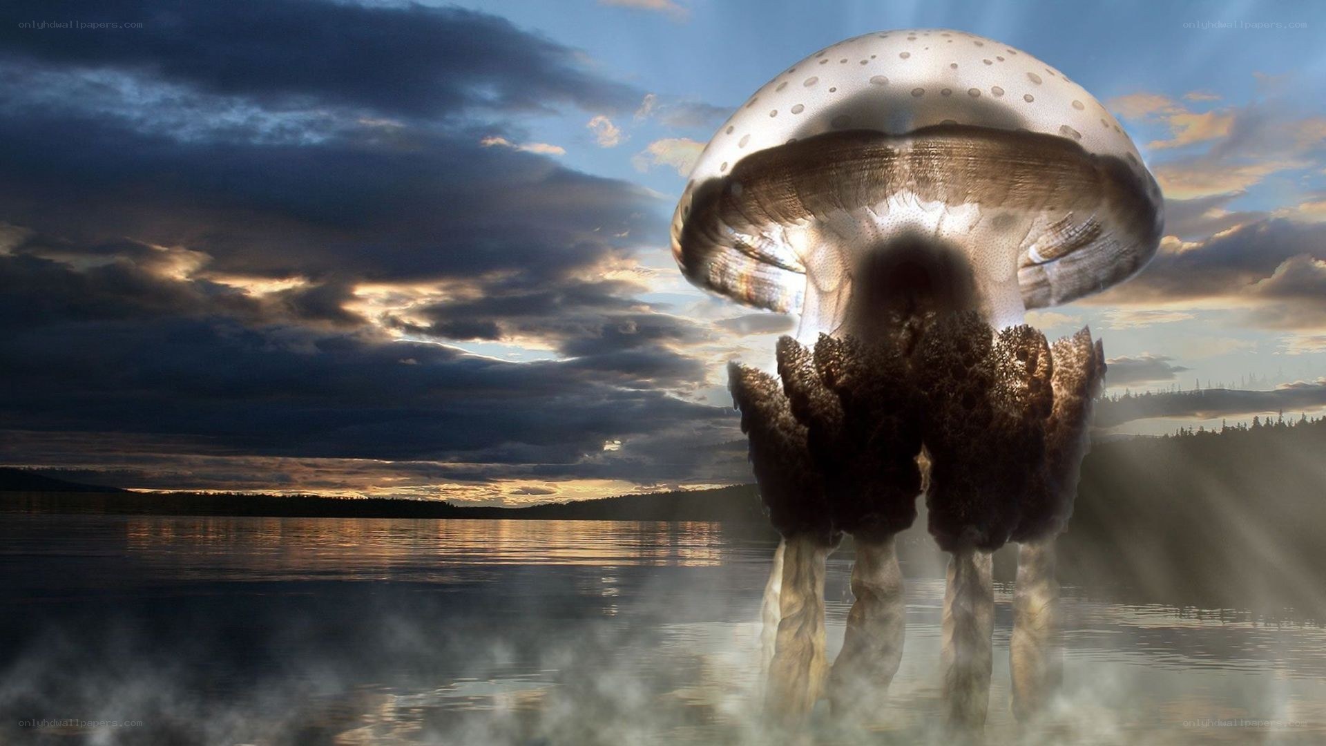 giant mushroom over lake