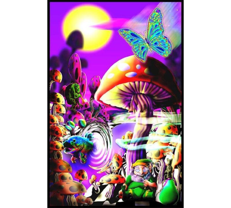 Giant Mushrooms and Gnome