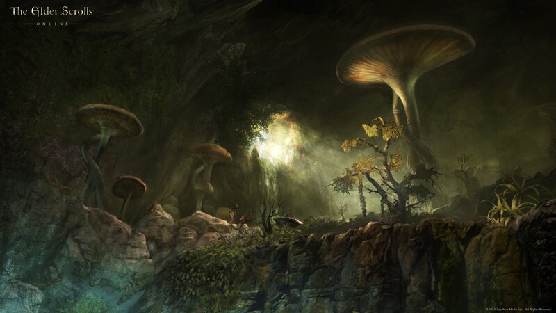 Giant Mushrooms in Cave