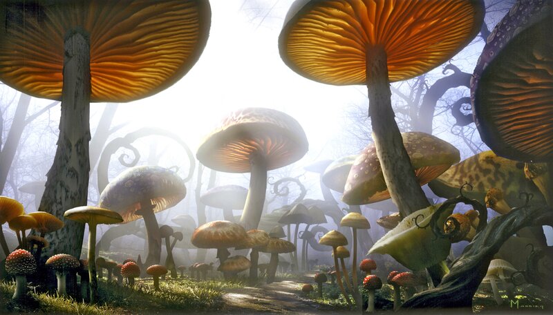 Giant Mushrooms in Forest — Brown