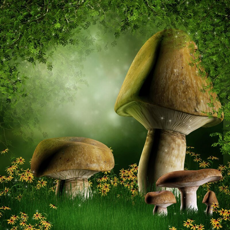 Giant Mushrooms in Forest — Green, Magical