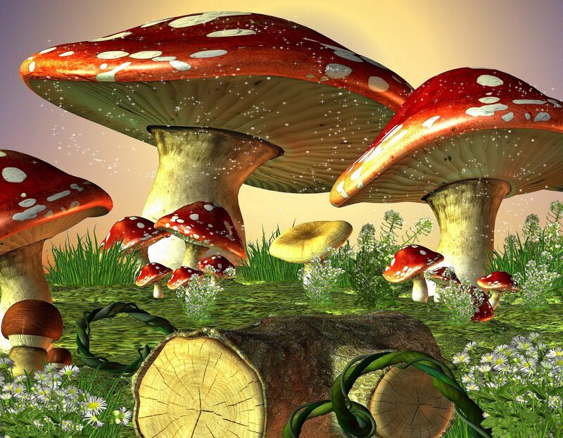 Giant Mushrooms in Forest — Red