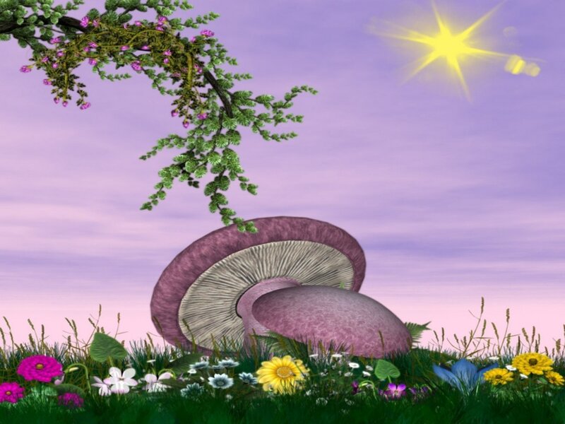 Giant Mushrooms in Meadow